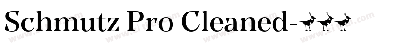 Schmutz Pro Cleaned字体转换